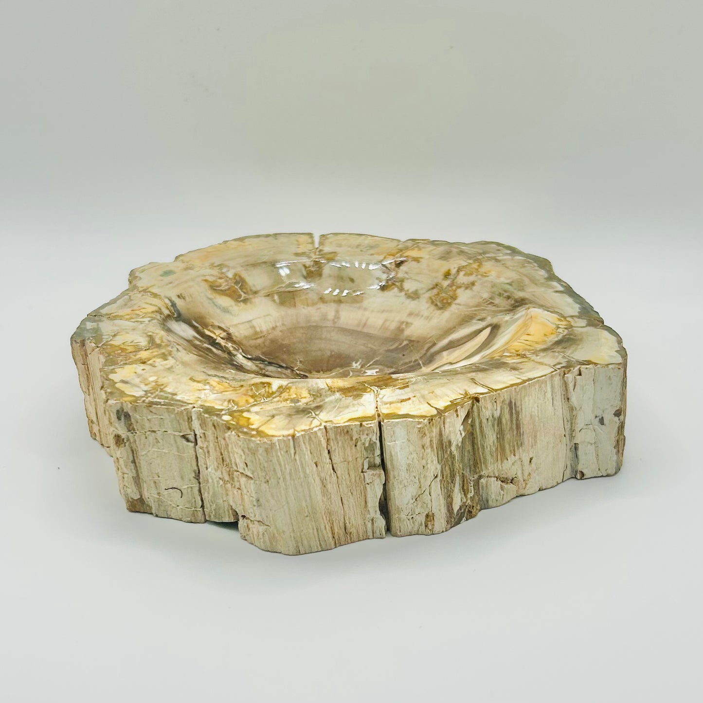 Polished Petrified Wood Trinket Dish