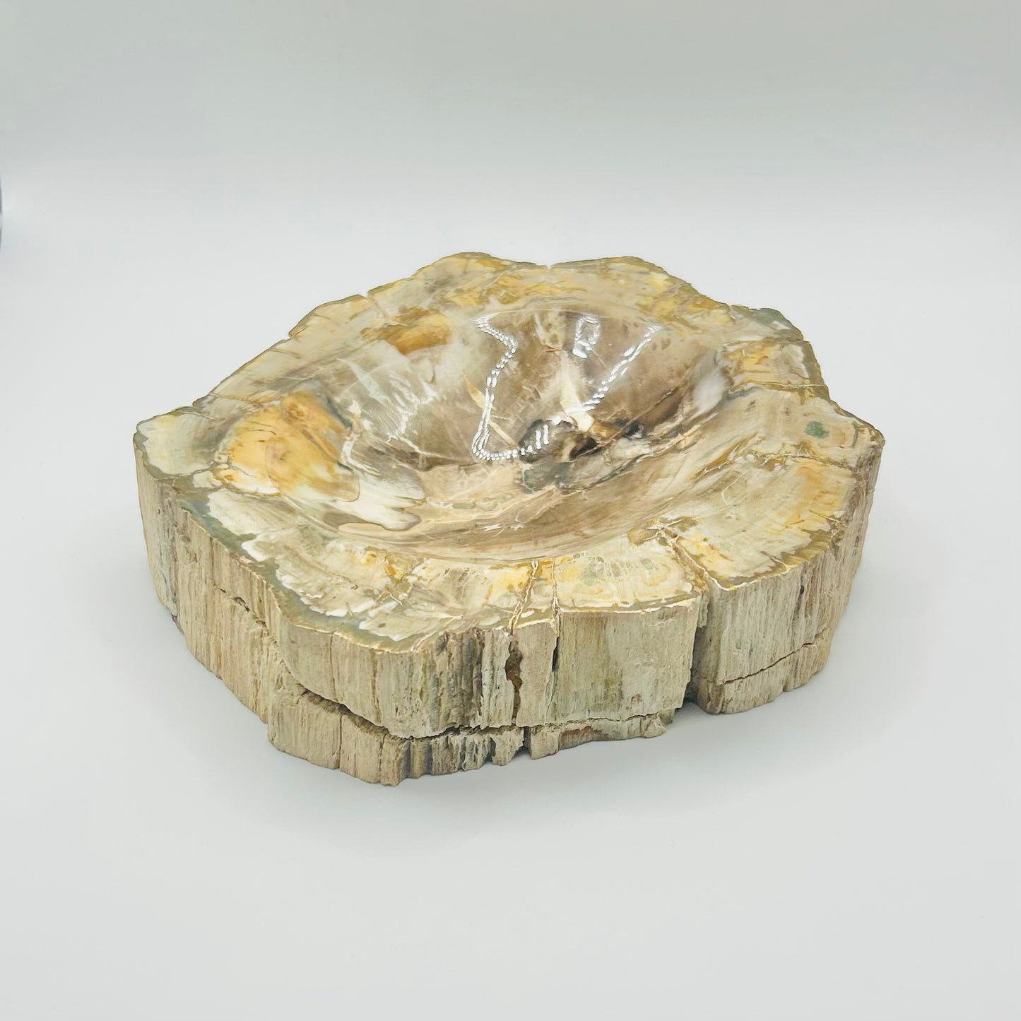 Polished Petrified Wood Trinket Dish