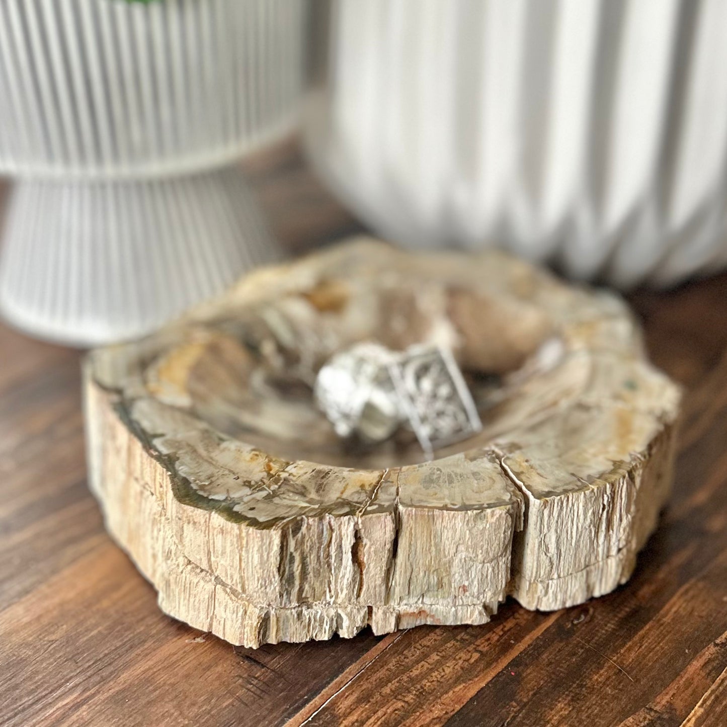 Polished Petrified Wood Trinket Dish