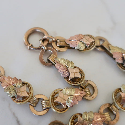 Antique Victorian Tri Colored Book Chain Necklace